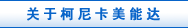 关于柯尼卡美能达