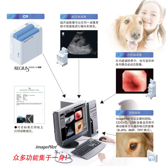 ImagePilot 可以从数码相机、CD/DVD、USB 设备及其他可移动媒体导入通用格式的影像（如 JPG、BMP、TIFF 格式）。在内窥镜检查中，也可显示和保存静态或动态影像。超声波影像可以在同一成像系统中简便地进行储存和预览。●可在标准打印机上打印诊断报告。