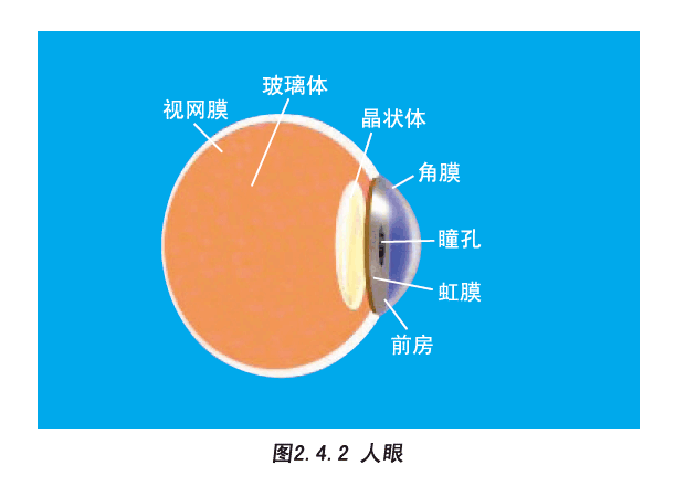 图2.4.2